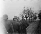 MG13-703.jpg