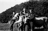 MG13-626.jpg