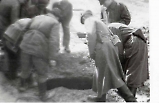 einsatz-13.jpg
