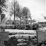 nr-19.jpg