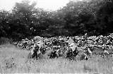 Filename=MG13-050.jpg
Filesize=147KiB
Dimensions=1100x723
Date added=Jun 27, 2011 MG13-050.jpg