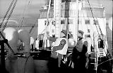Filename=MG13-193.jpg
Filesize=112KiB
Dimensions=1550x1000
Date added=Jun 27, 2011 MG13-193.jpg