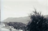 Gebjneg-001.jpg