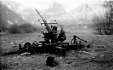MG13-307.jpg