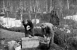 MG13-314.jpg