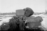 MG13-318.jpg