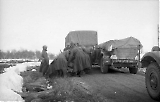 MG13-322.jpg