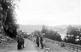 Filename=MG13-347.jpg
Filesize=85KiB
Dimensions=1100x716
Date added=Jun 27, 2011 MG13-347.jpg