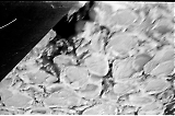 MG13-140.jpg