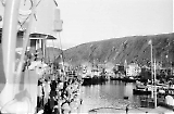 Filename=MG13-146.jpg
Filesize=120KiB
Dimensions=1100x724
Date added=Jun 27, 2011 MG13-146.jpg