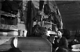 MG13-165.jpg