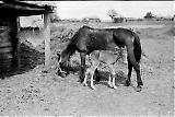MG13-185.jpg