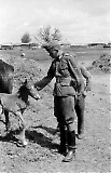 MG13-186.jpg