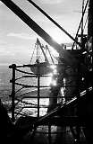 Filename=MG13-195.jpg
Filesize=75KiB
Dimensions=522x800
Date added=Jun 27, 2011 MG13-195.jpg