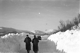 Filename=MG13-431.jpg
Filesize=76KiB
Dimensions=1100x724
Date added=Jun 27, 2011 MG13-431.jpg