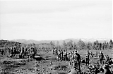 MG13-468.jpg
