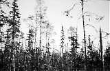 Filename=MG13-492.jpg
Filesize=120KiB
Dimensions=1100x713
Date added=Jun 28, 2011 MG13-492.jpg