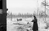 MG13-517.jpg