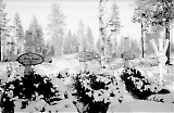 MG13-519.jpg