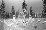 Filename=MG13-561.jpg
Filesize=128KiB
Dimensions=1100x709
Date added=Jul 17, 2011 MG13-561.jpg