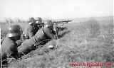 033_SMG.jpg