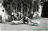 Filename=Mys151011-1314.jpg
Filesize=476KiB
Dimensions=1385x900
Date added=Oct 15, 2011 Mys151011-1314.jpg