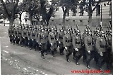 Filename=rftrond-001.jpg
Filesize=111KiB
Dimensions=1194x800
Date added=Jun 27, 2009 rftrond-001.jpg