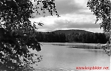 Filename=HE130610-437.jpg
Filesize=91KiB
Dimensions=1404x900
Date added=Nov 19, 2011 HE130610-437.jpg