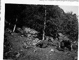 Filename=I_R334-088.jpg
Filesize=439KiB
Dimensions=1053x800
Date added=Jun 22, 2009 I_R334-088.jpg