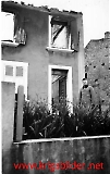 IR355-023.jpg