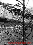Filename=IR355-043.jpg
Filesize=140KiB
Dimensions=580x800
Date added=Jun 19, 2009 IR355-043.jpg