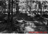 Filename=IR355-045.jpg
Filesize=111KiB
Dimensions=1100x790
Date added=Jun 19, 2009 IR355-045.jpg
