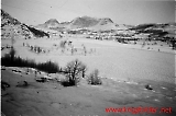 IR355-102.jpg