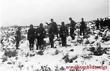 IR355-111.jpg