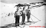 Oppdal