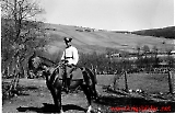 359IV-096.jpg