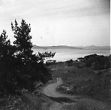 TGE07022021_-_001_50.jpg