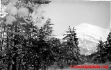 Filename=Mfl-701_-_087.jpg
Filesize=319KiB
Dimensions=1200x764
Date added=Mar 17, 2013 Mfl-701_-_087.jpg