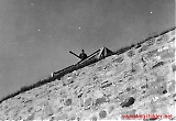 701079.jpg