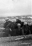 8pzgrenor29.jpg