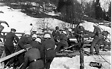 8pzgrenor30.jpg