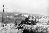 8pzgrenor50.jpg