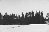 8pzgrenor76.jpg
