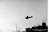 8pzgrenor78.jpg