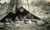 Filename=10-04.JPG
Filesize=828KiB
Dimensions=1200x721
Date added=Jun 20, 2019 10-04.JPG