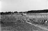 TGE01102022-065.jpg