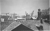 TGE01102022-073.jpg