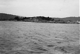TGE01102022-134.jpg