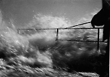 TGE01102022-164.jpg