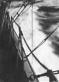 TGE01102022-167.jpg